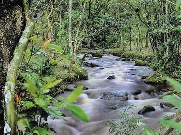 Nascentes de Água em comunidade Hare Krishna 