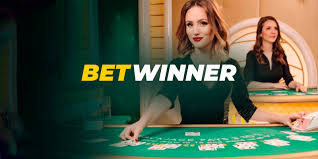 Understanding Rugby World Cup Betting Odds A Guide for Fans and Bettors Understanding Rugby World Cup Betting Odds A Guide for Fans and Bettors